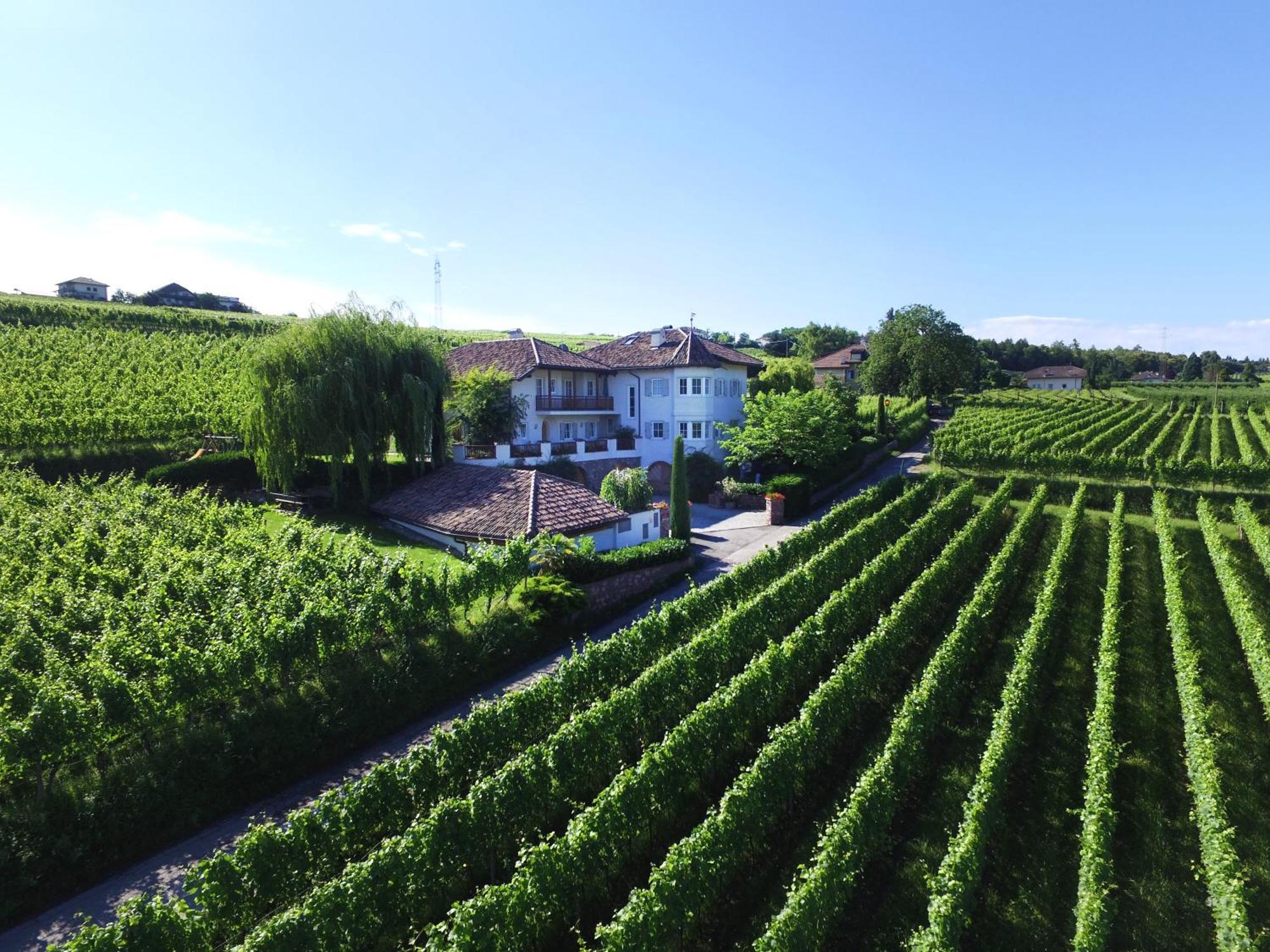 Weinhof Mumelter Leilighet Appiano Sulla Strada Del Vino Eksteriør bilde